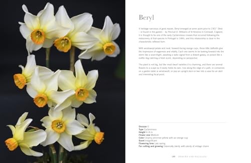 Daffodils: Beautiful Varieties for Home and Garden (Flowers), Slade, Naomi, Exce