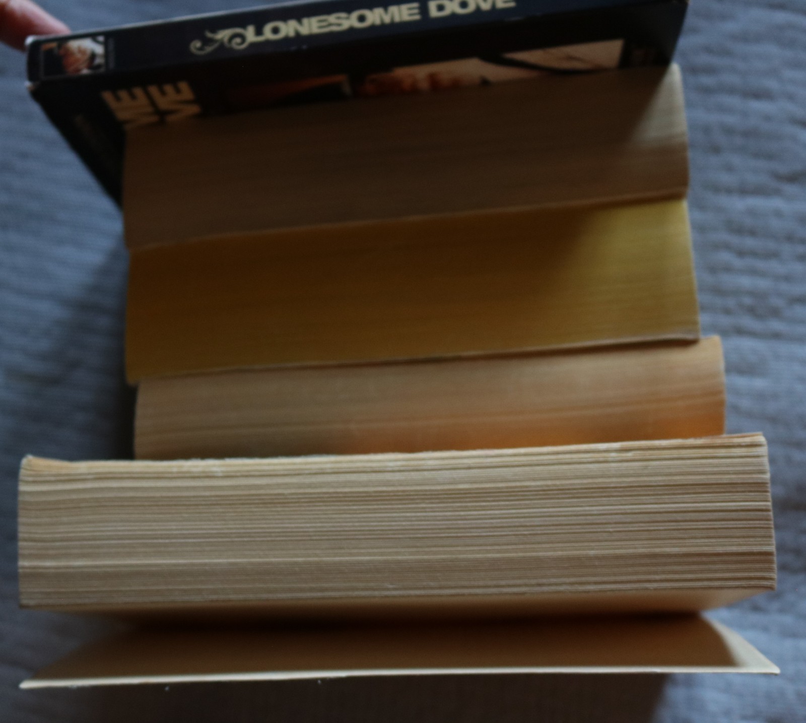 4 Larry McMurtry Lonesome Dove complete series paperback with free DVD