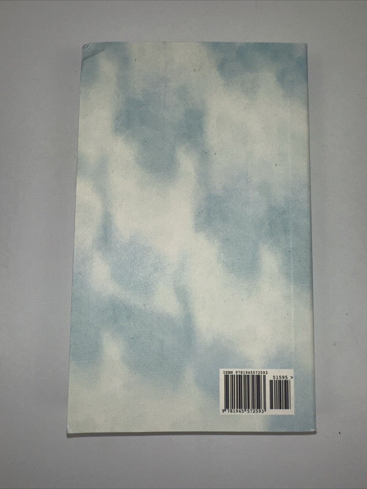 Hummingbird: Essays [Genuine Rare Bird Book] by Angelini, Jude paperback Book