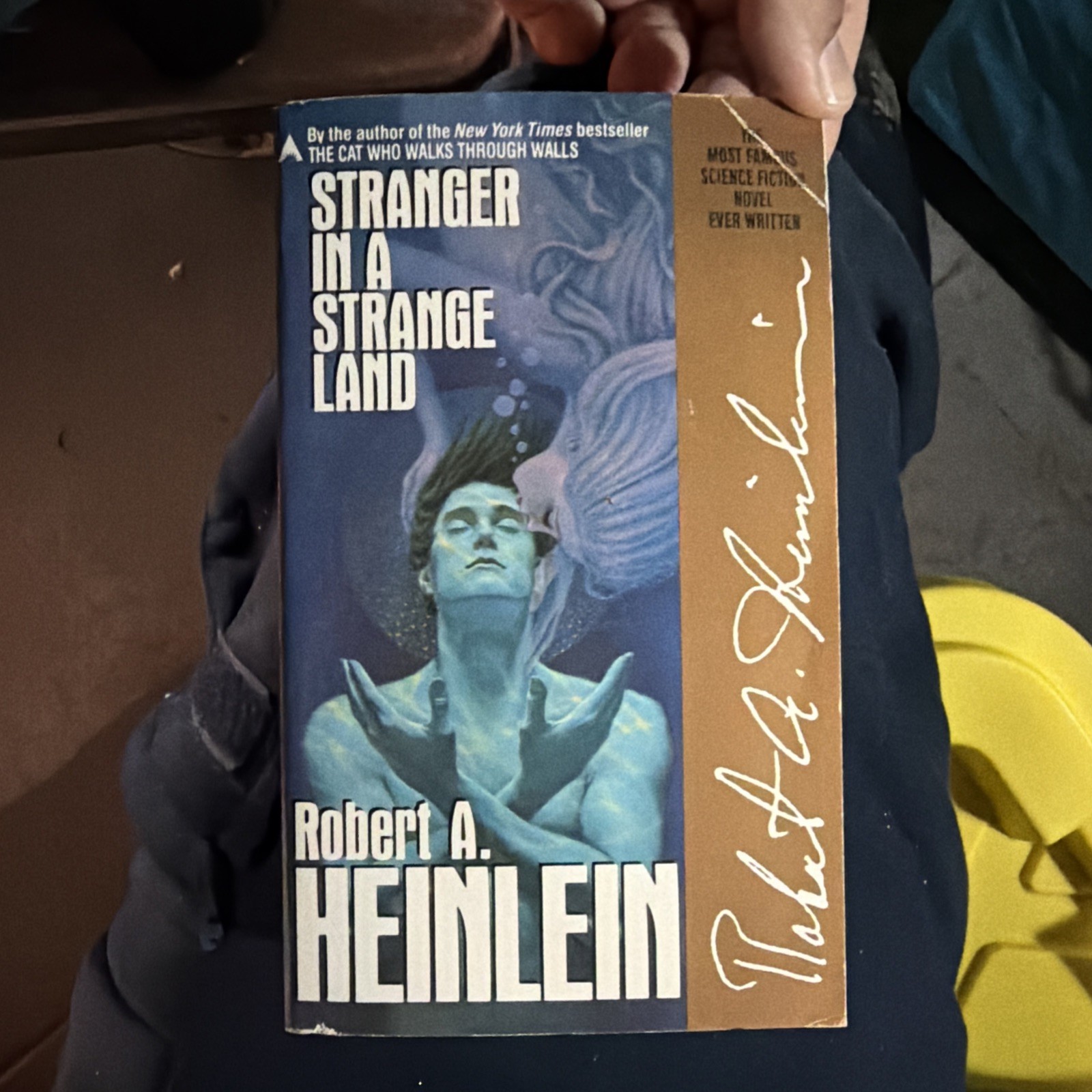 Stranger in a Strange Land by Robert A. Heinlein (1987, Uk- a Format Paperback)