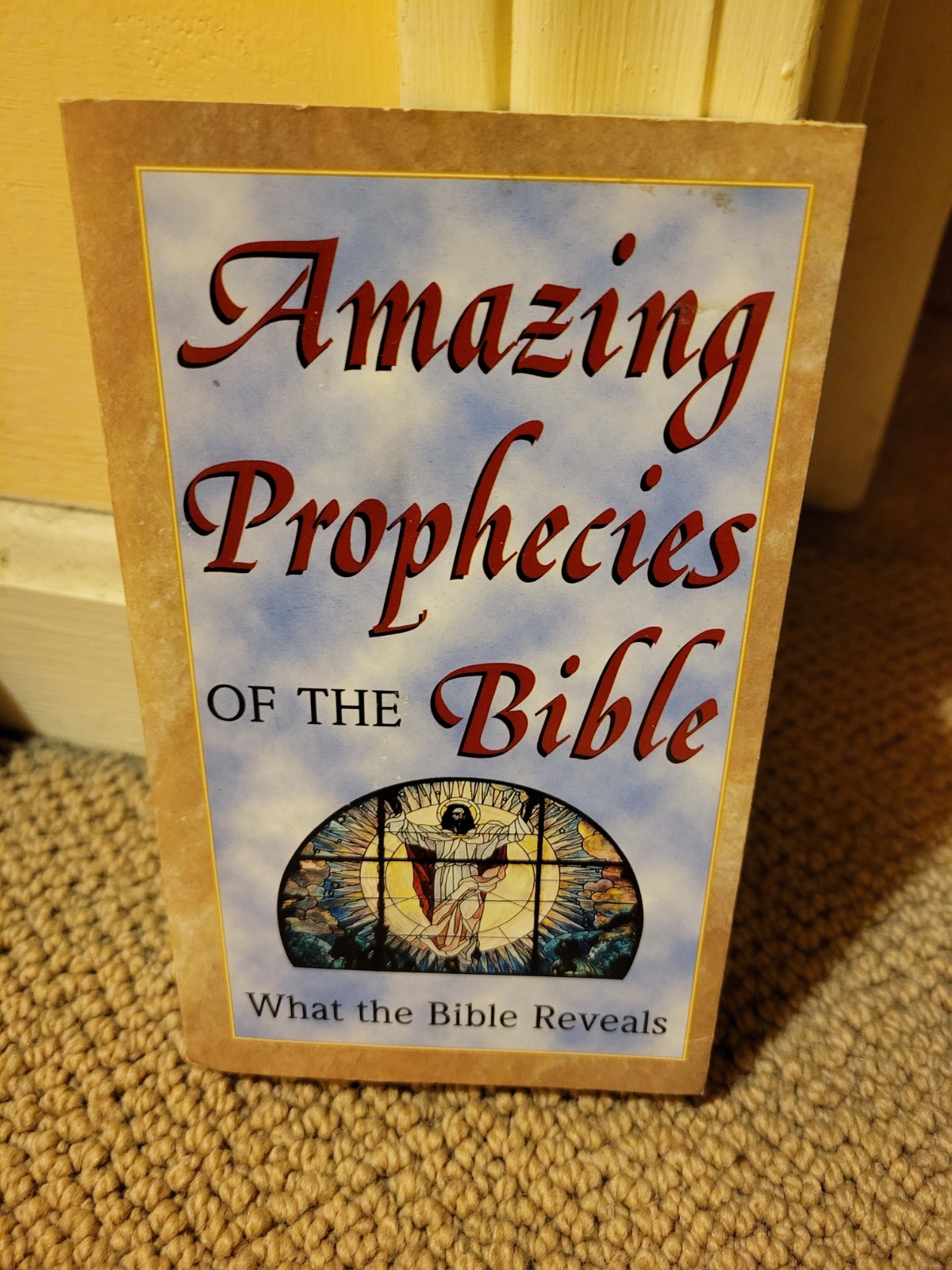 Amazing Prophecies of the Bible Paperback Nonfiction Bible Prophecy