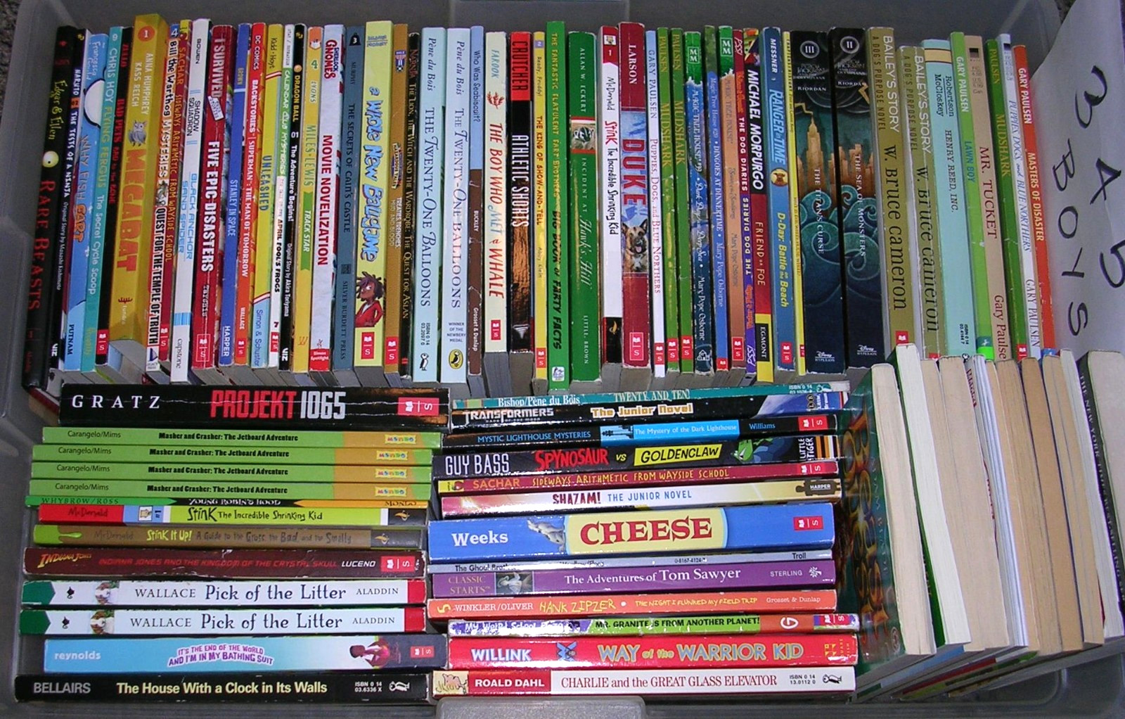 Random Lot 20 BOYS Reading Level 3rd 4th 5th Grade Chapter Books FREE SHIP