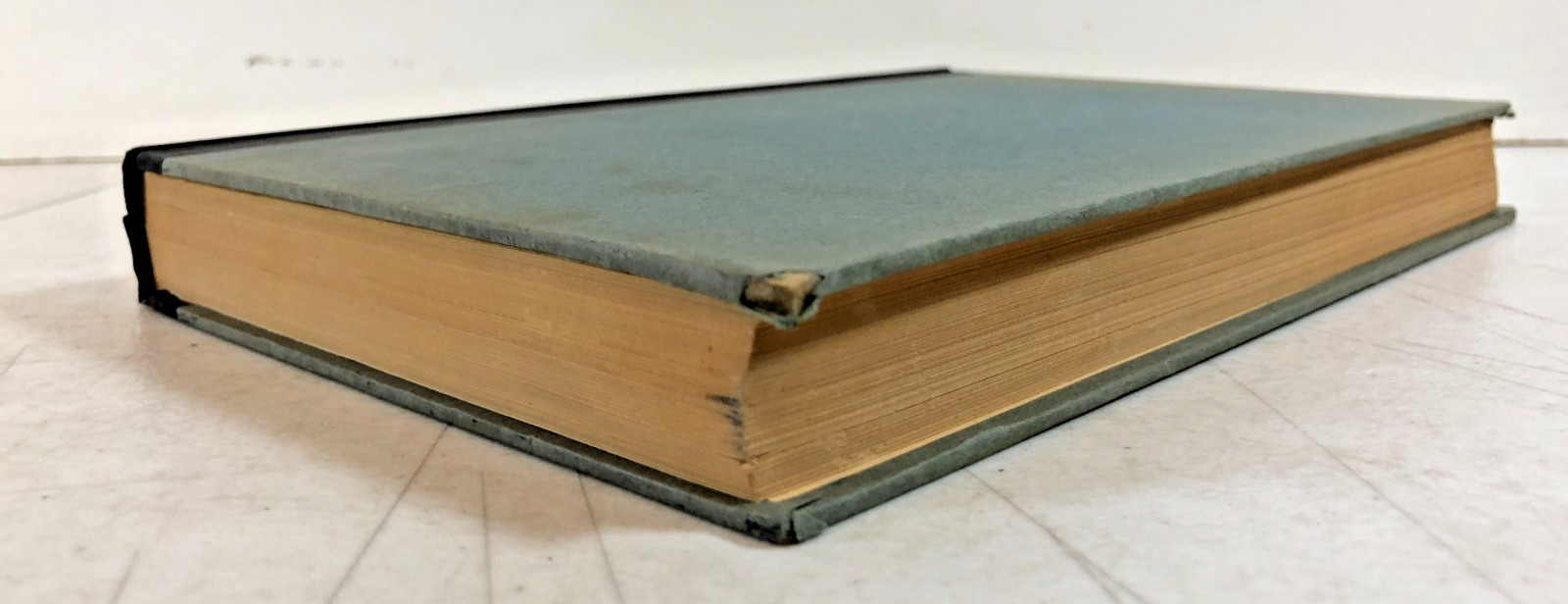 The Human Condition, Hannah Arendt 1958, E-104