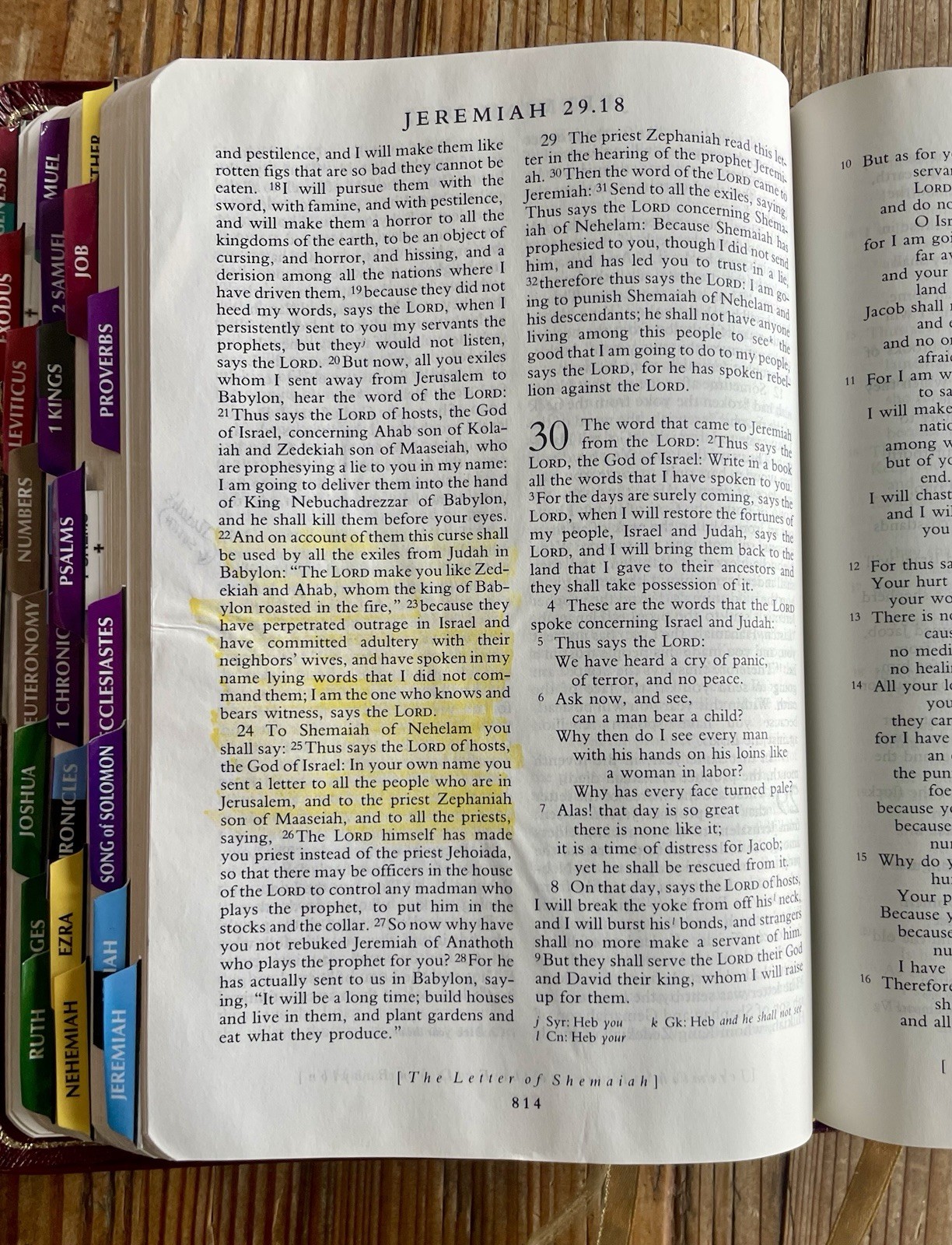 Out of Print – 9814A – Burgundy Oxford NRSV with Apocrypha, Genuine Leather