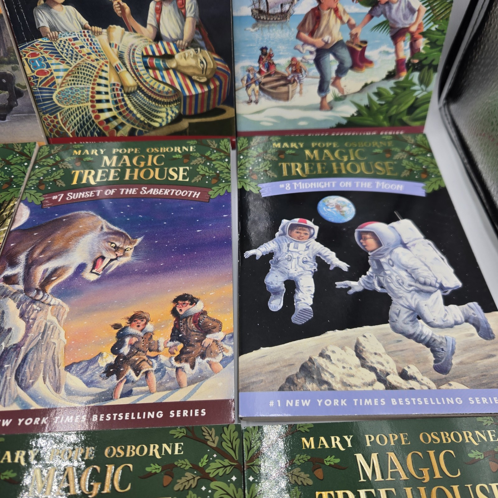 Magic Tree House 12 Book Set Books 1-12