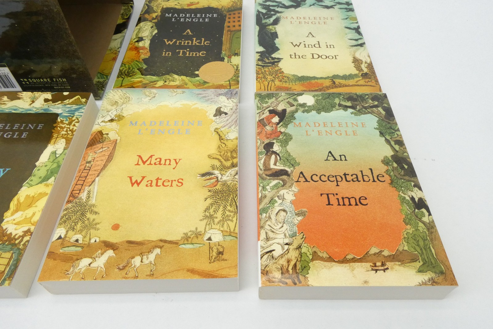 Madeleine L’Engle Time Quintet Box Set 5 Books Wrinkle in Time Square Fish