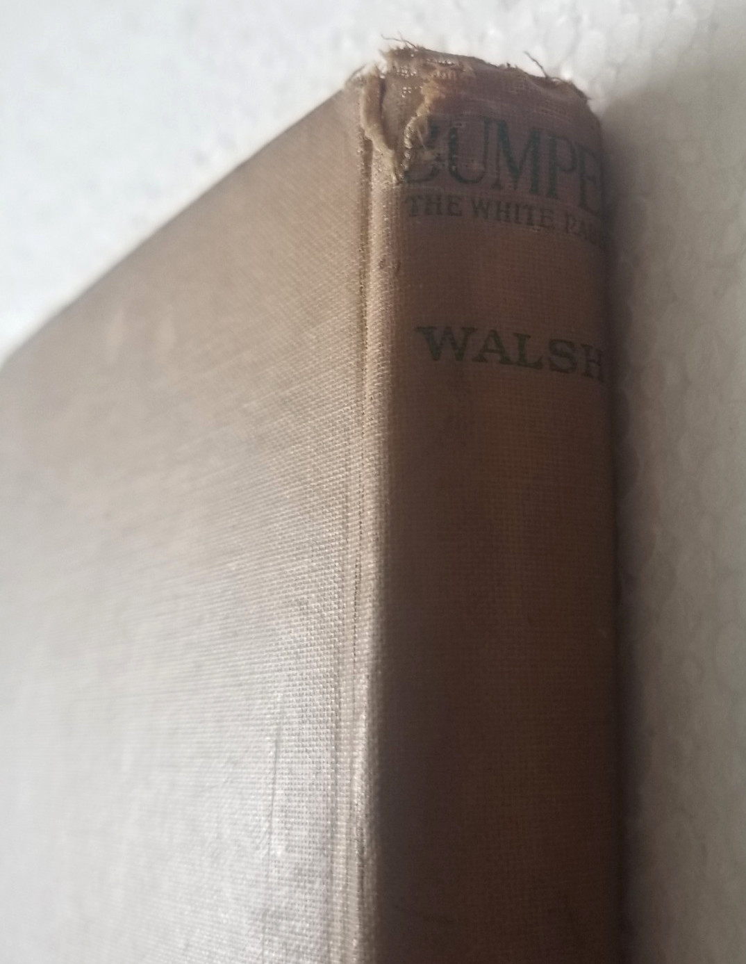 Antique 1922 BUMPER The White Rabbit by George Ethelbert Walsh HC Vtg Bit Rough