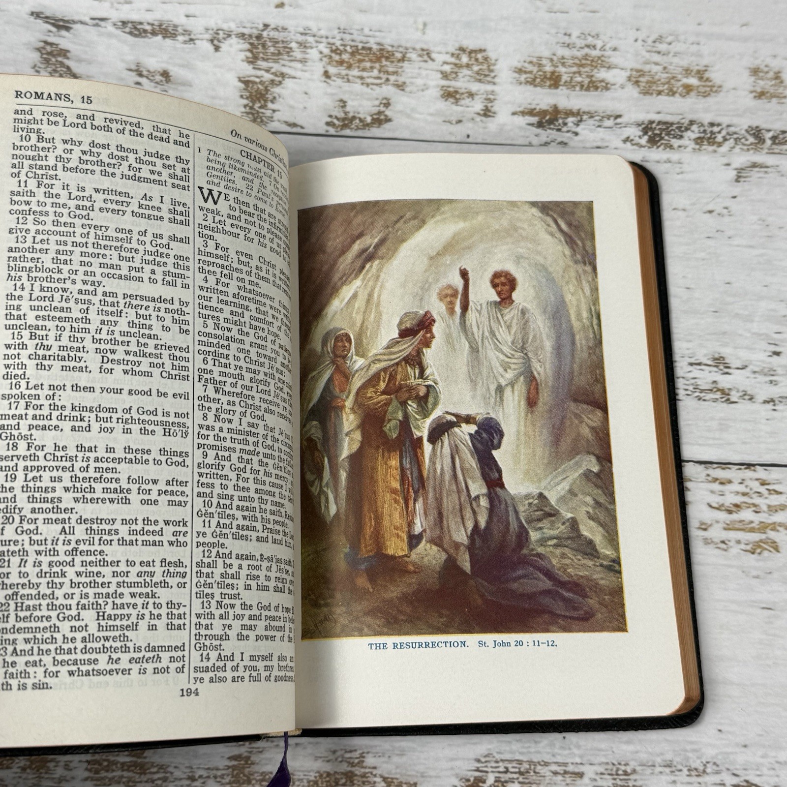 New Testament & Psalms ~ Self Pronouncing Edition National Bible Press Leather