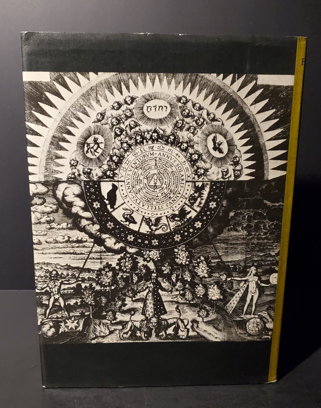 The Arts of the Alchemist 1st Edition 1967 by CA Burland HCDJ Occult Magic