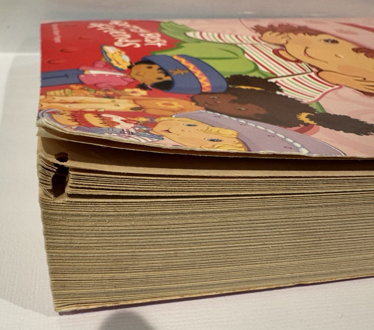 2003 Strawberry Shortcake Berry Best Friends 400 Pages of Coloring Fun *READ*