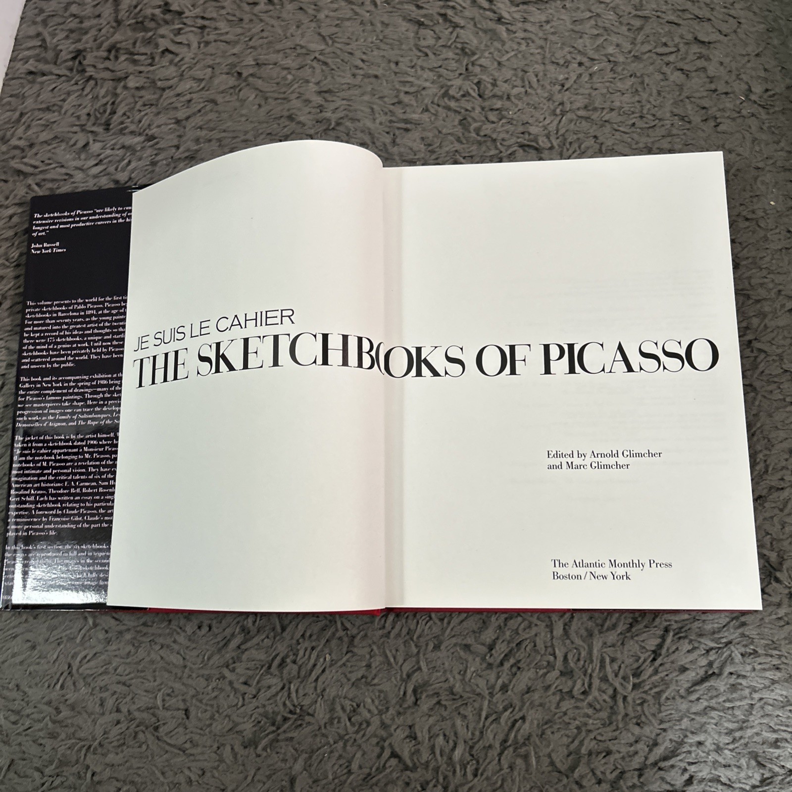 Je Suis Le Cahier The Sketchbooks of Picasso HC/DJ. 1st Ed 1986