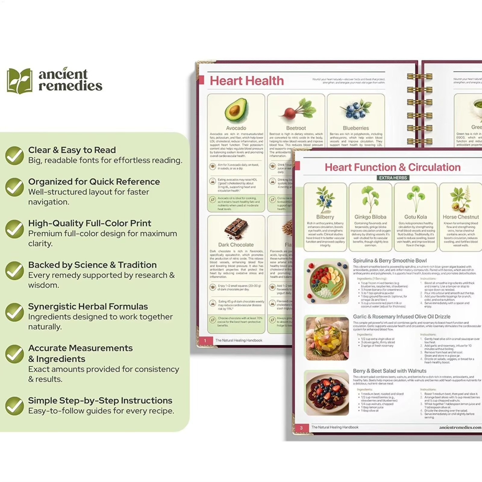 The Natural Healing Handbook, Spiral-Bound Guide for Herbal Remedies and Natural