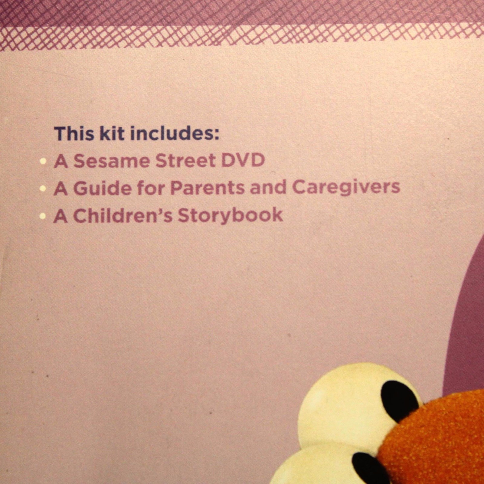 Sesame Street Little Children Big Challenges:Incarceration Ages 4-8 Book/DVD Kit