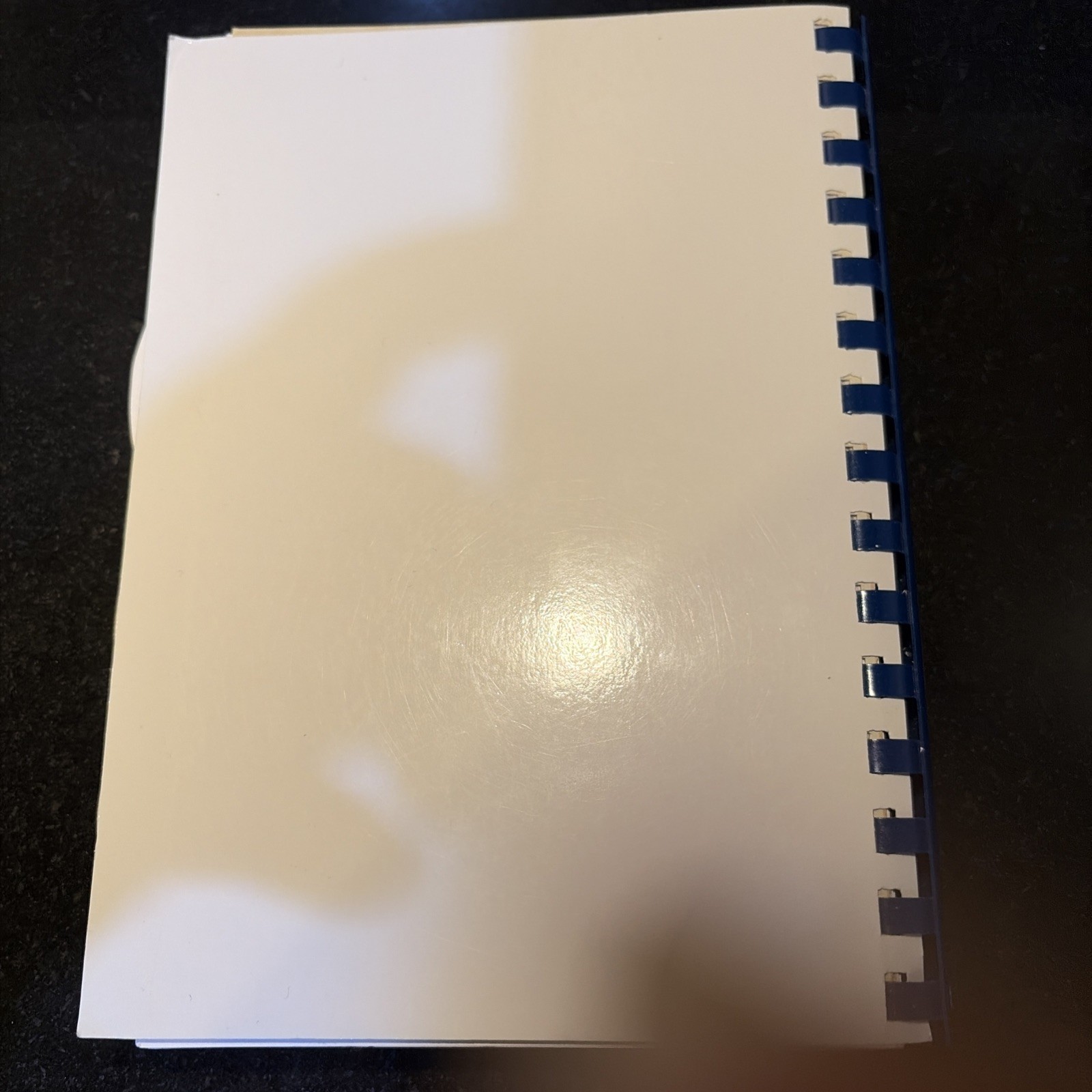 St Stanislaus Parish Cookbook 2016 Cleveland Ohio ~ 336+ Pages