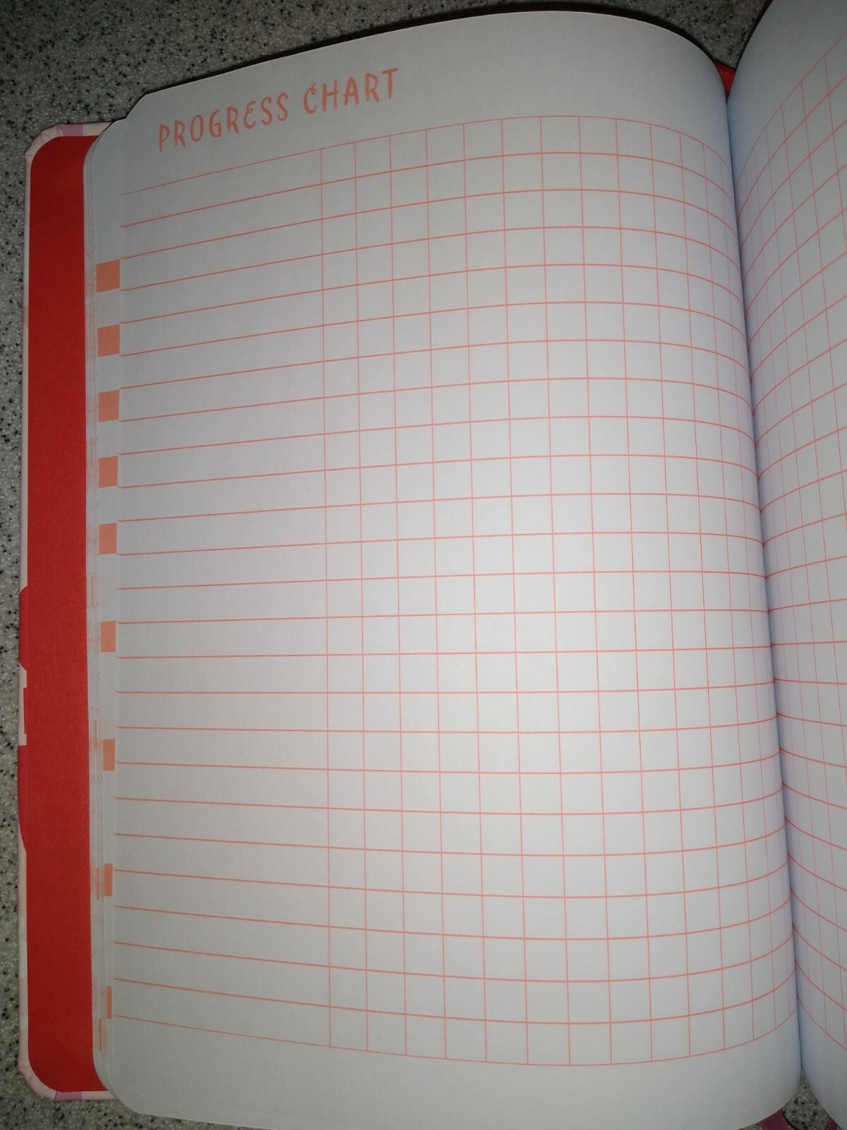 Pen+ Gear Fitness Journal – 256 pages