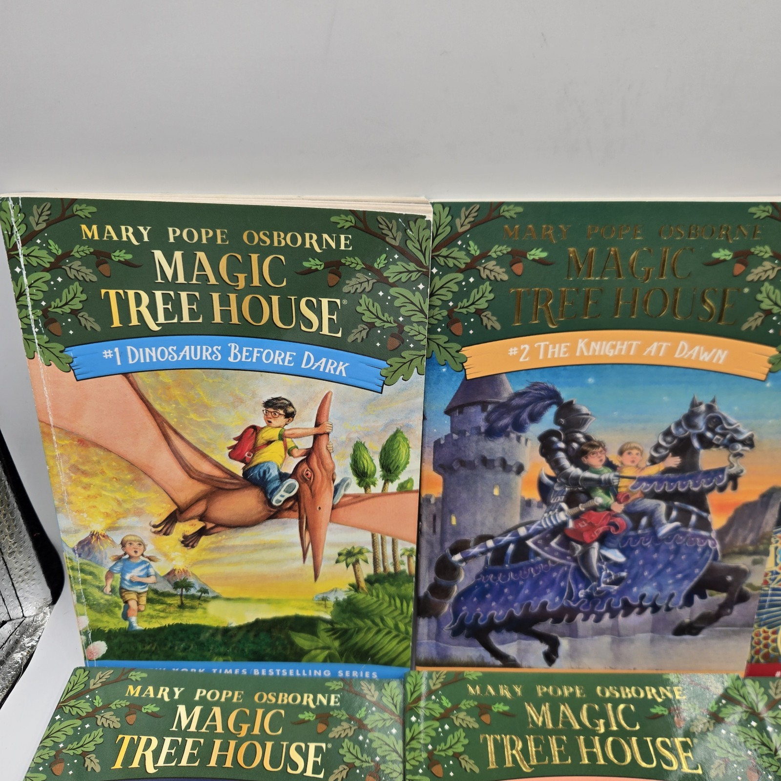 Magic Tree House 12 Book Set Books 1-12