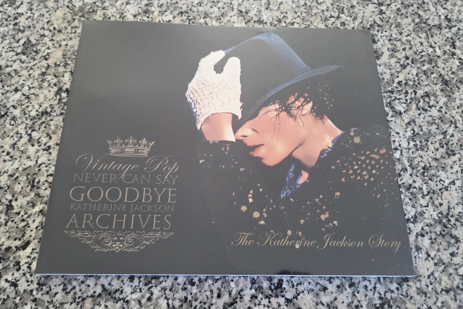 Never Can Say Goodbye: The Katherine Jackson Story Vintage Pop Media Paperback
