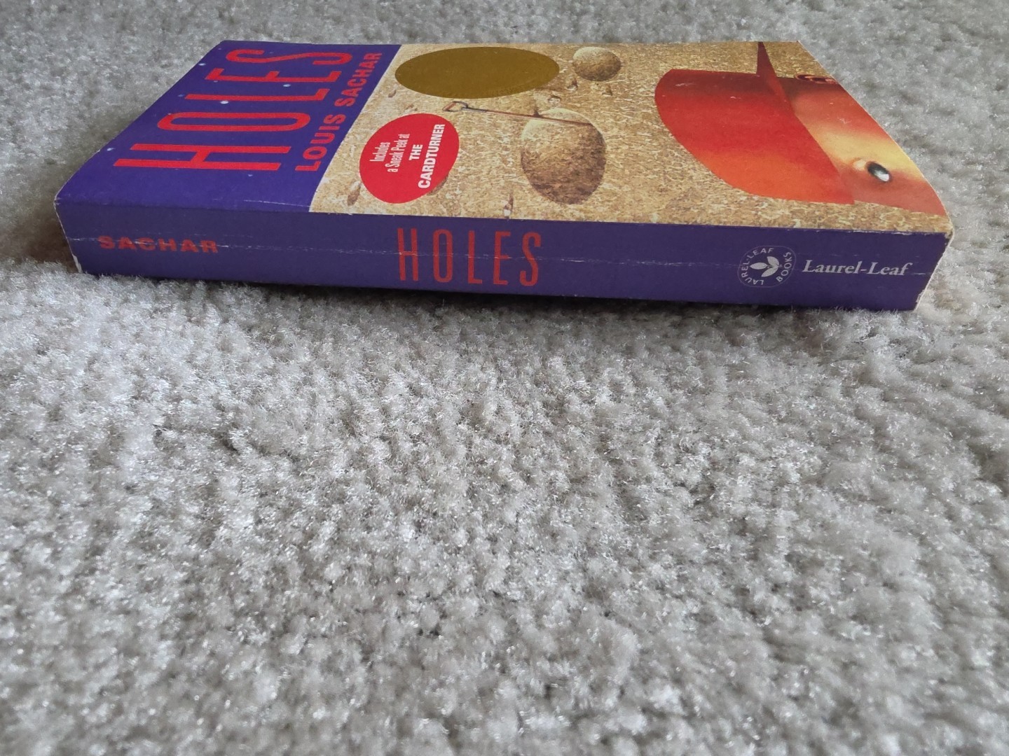 Holes by Louis Sachar (2008 Paperback)