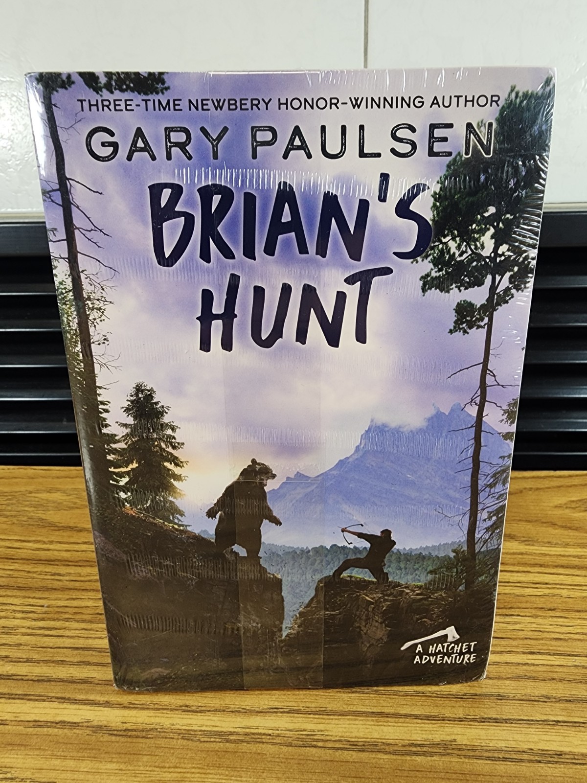 Hatchet COMPLETE Brian’s Saga Gary Paulsen Series SET Lot Books (1-5) Paperback