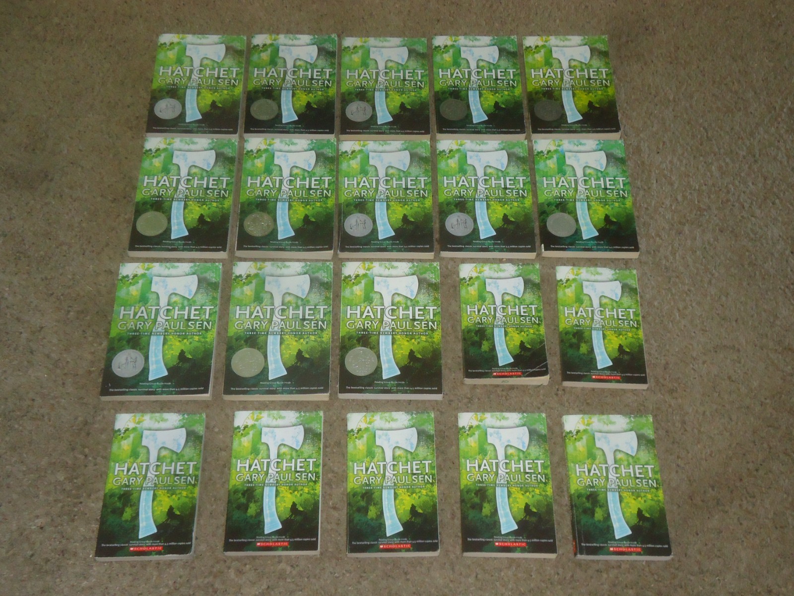 Lot 20 Hatchet Books Teacher Class Set Gary Paulsen Guided Reading