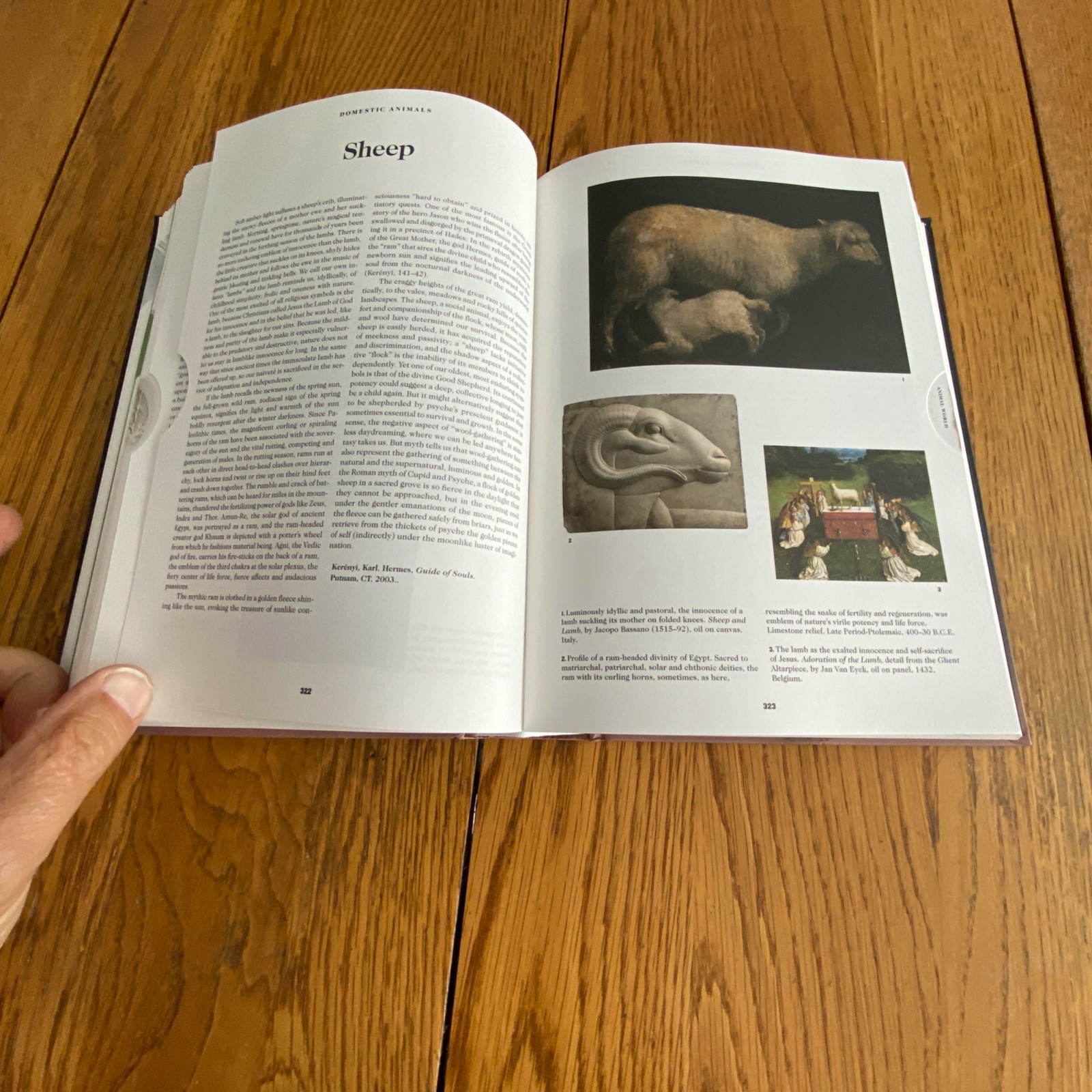 The Book of Symbols: Reflections on Archetypal Images Taschen Hardcover