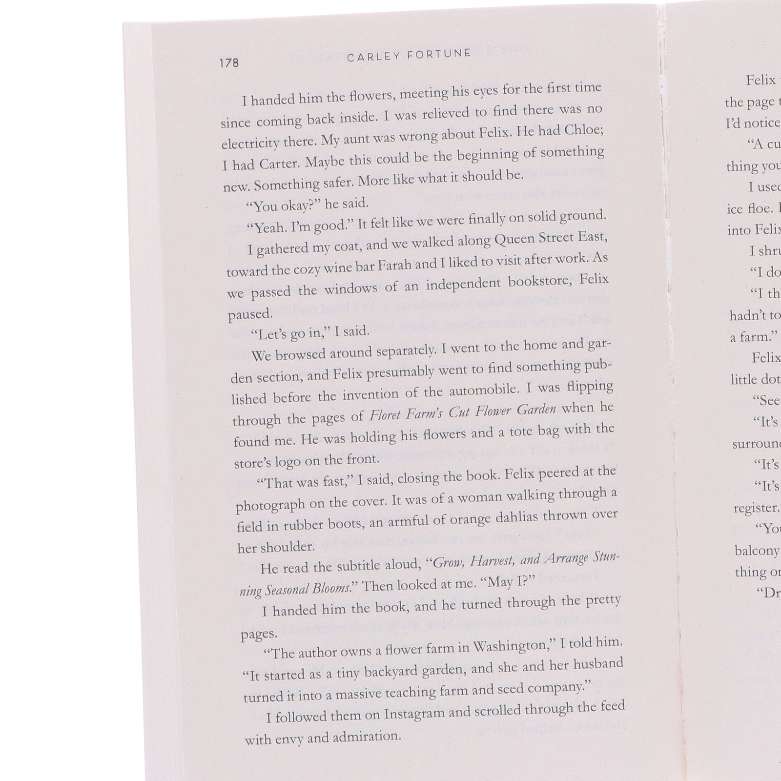 Carley Fortune Novels: 3 Books Collection Set – Fiction – Paperback
