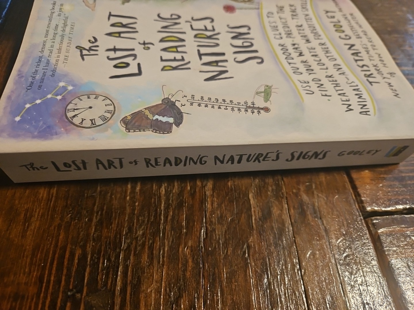The Lost Art of Reading Nature’s Signs: Use Outdoor Clues to Find Your Way…