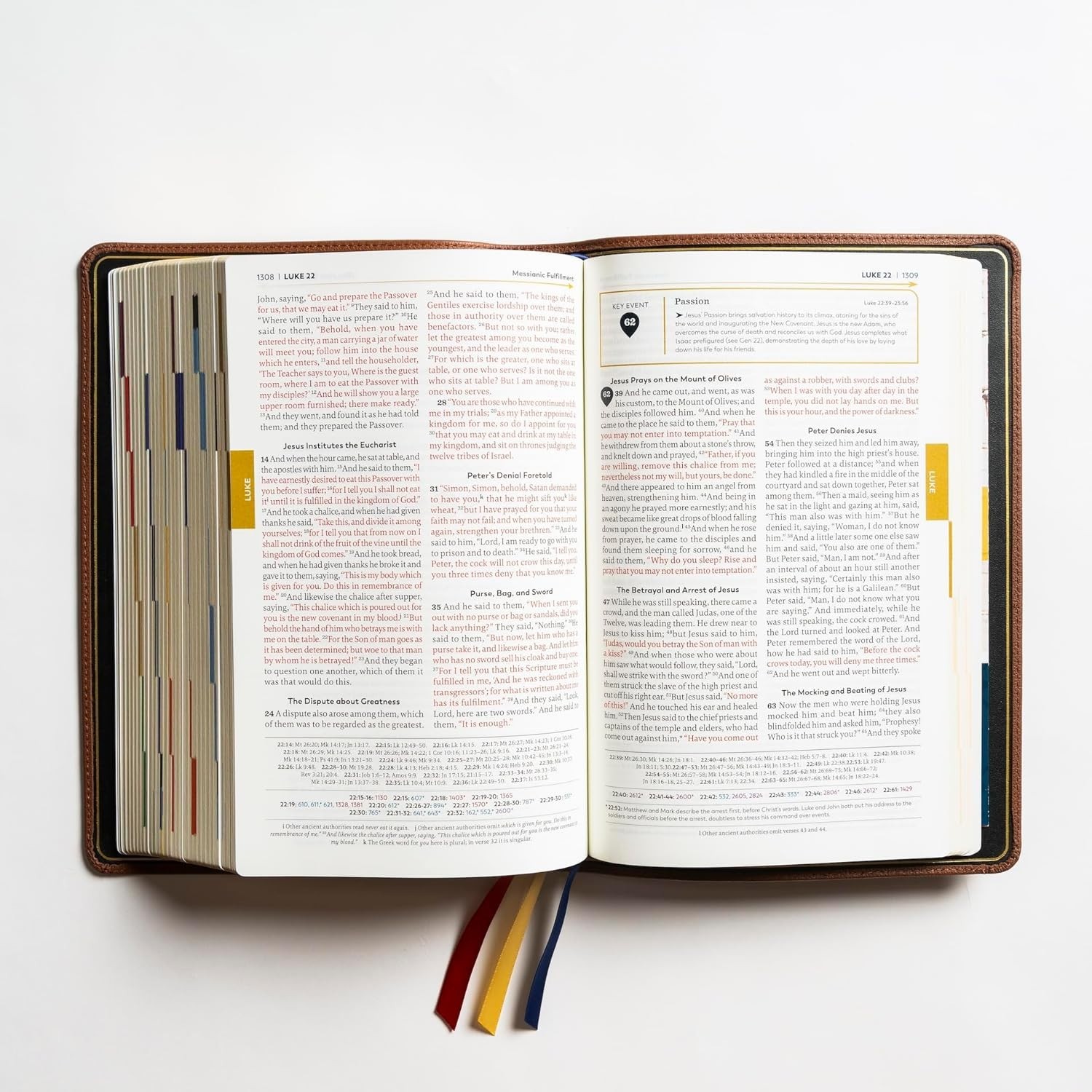 The Great Adventure Catholic Bible, Second Edition (Premium)