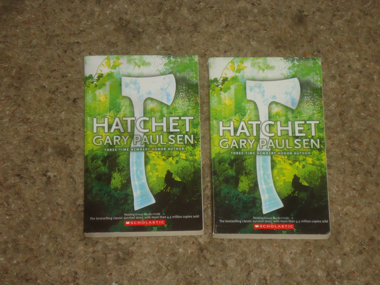 Lot 20 Hatchet Books Teacher Class Set Gary Paulsen Guided Reading