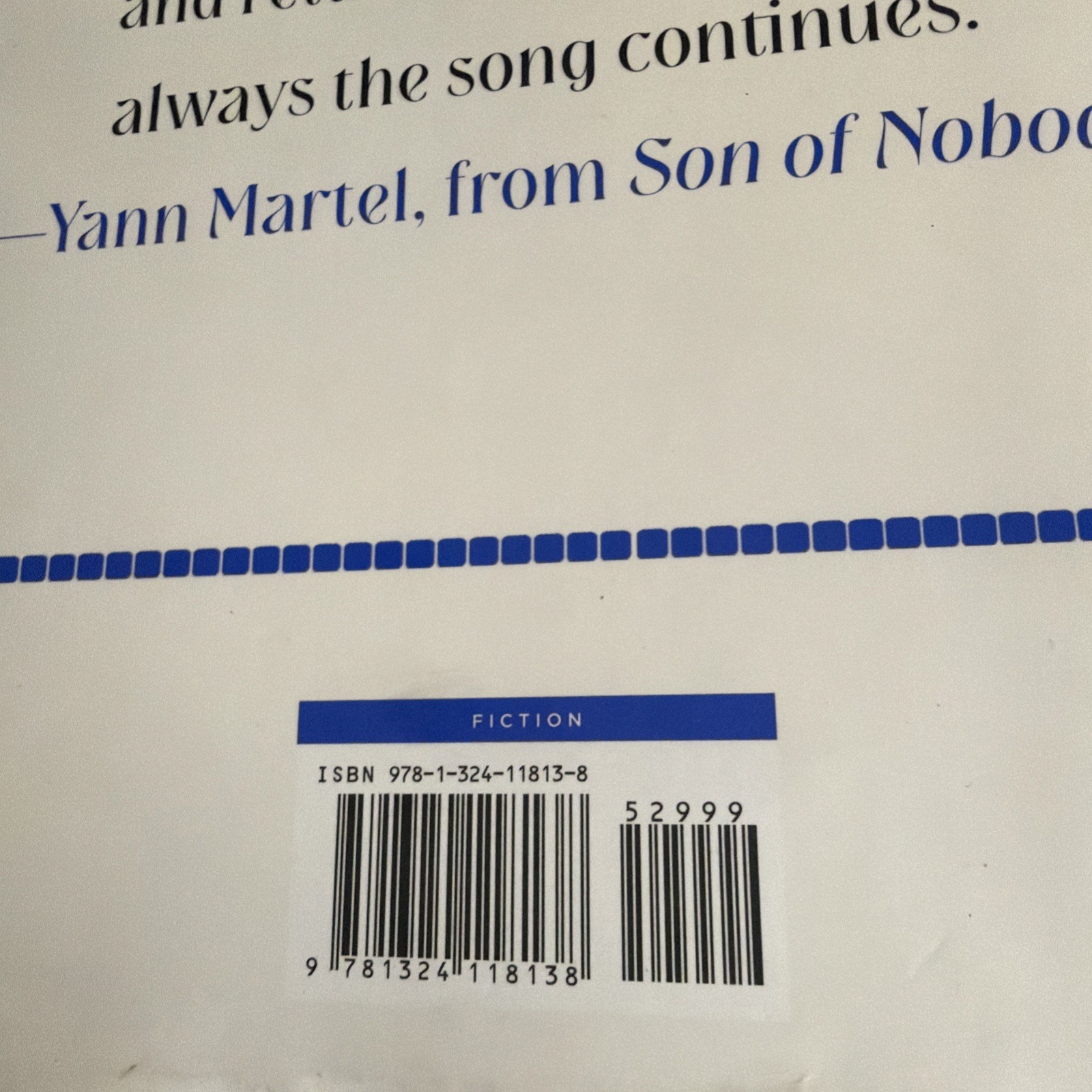 Son of Nobody : A Novel by Yann Martel (2026, Hardcover)