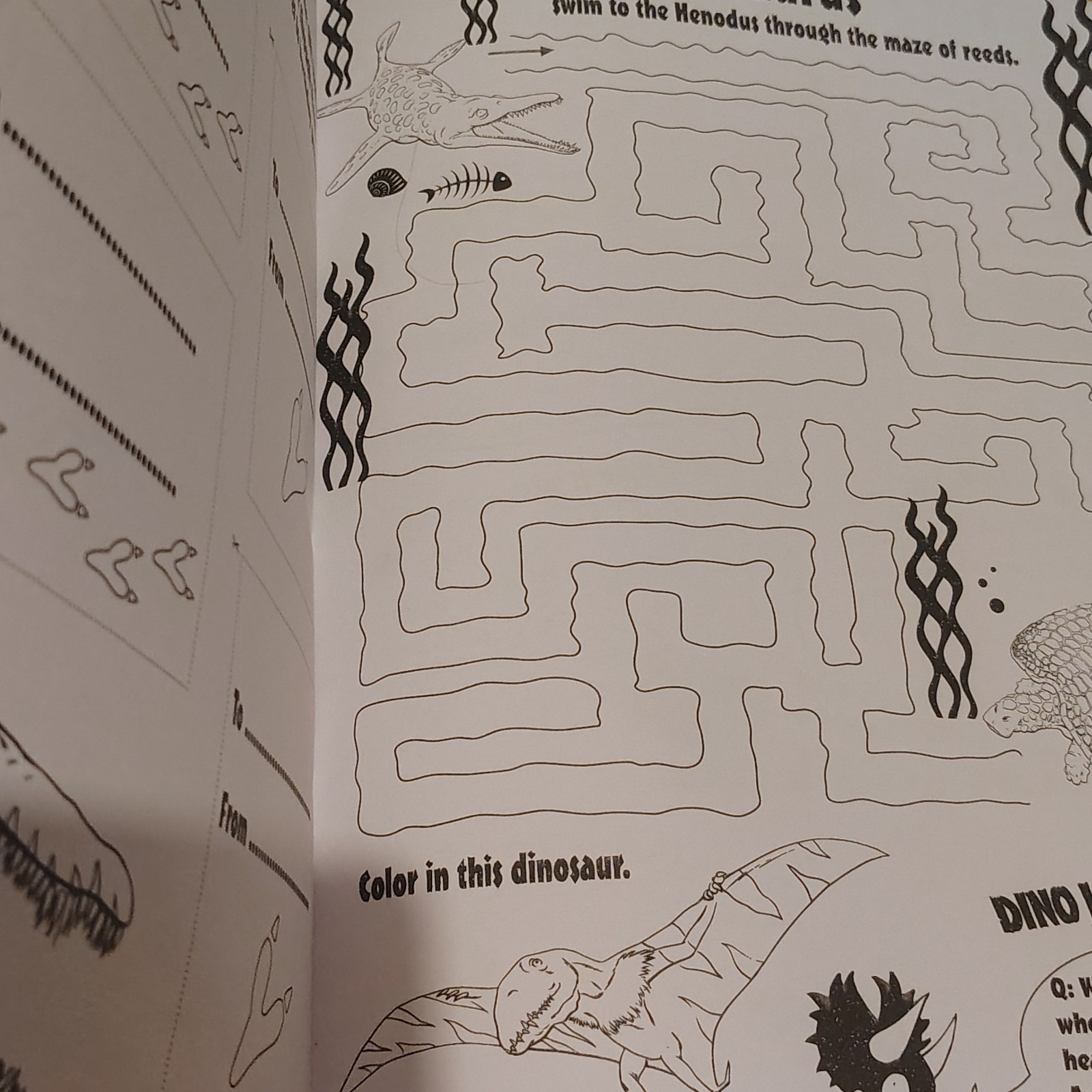 Dinosaur Coloring Book : Giant Dino Coloring Book for Kids Ages 2-4 & Toddlers.