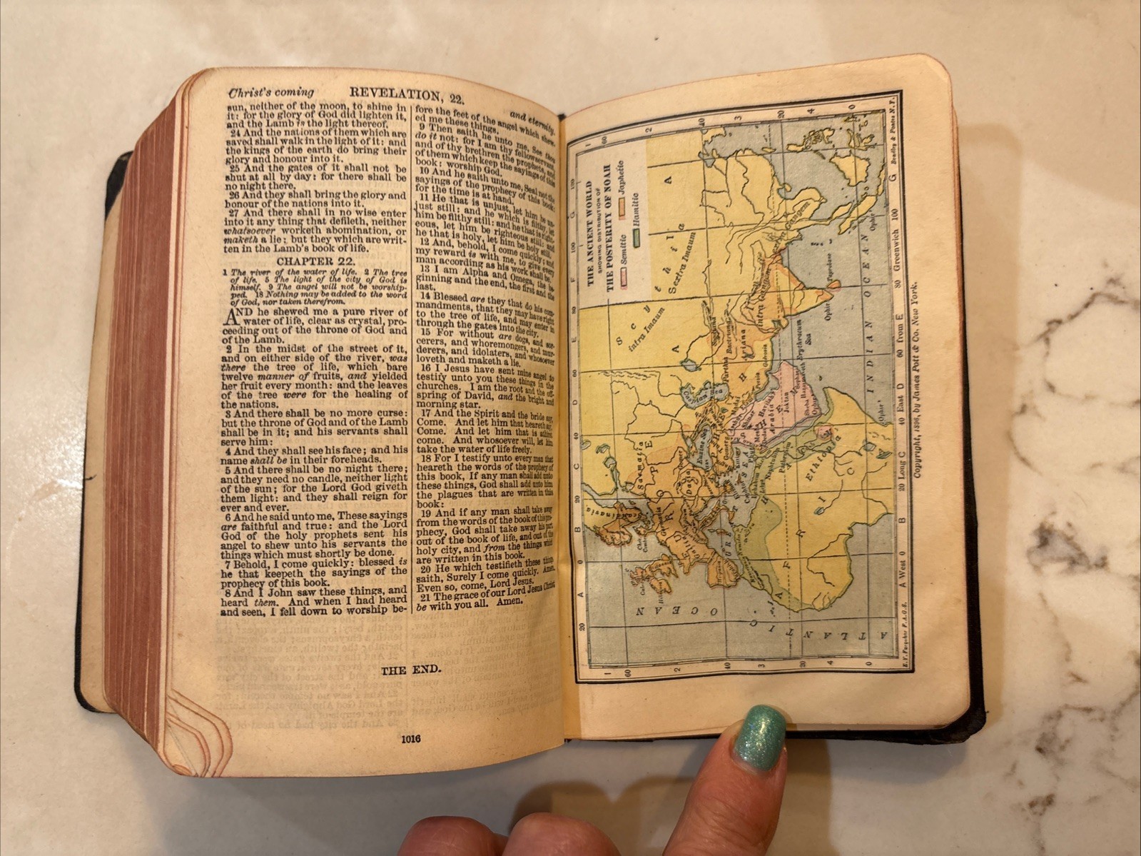 Antique Holy Bible Appointed to be read in Churches 1910 Cambridge London