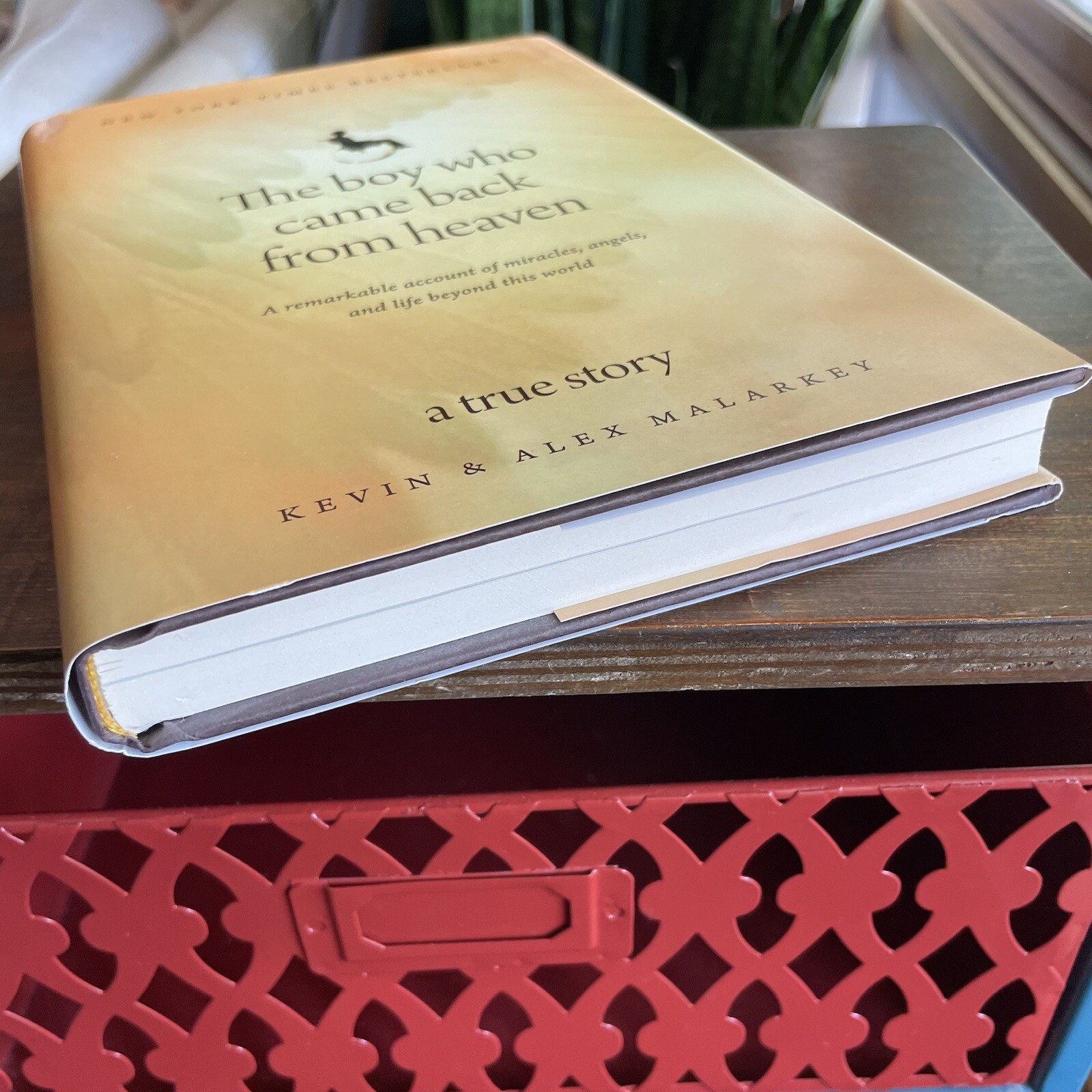 The Boy Who Came Back from Heaven : A Remarkable Account of Miracles, Angels,…