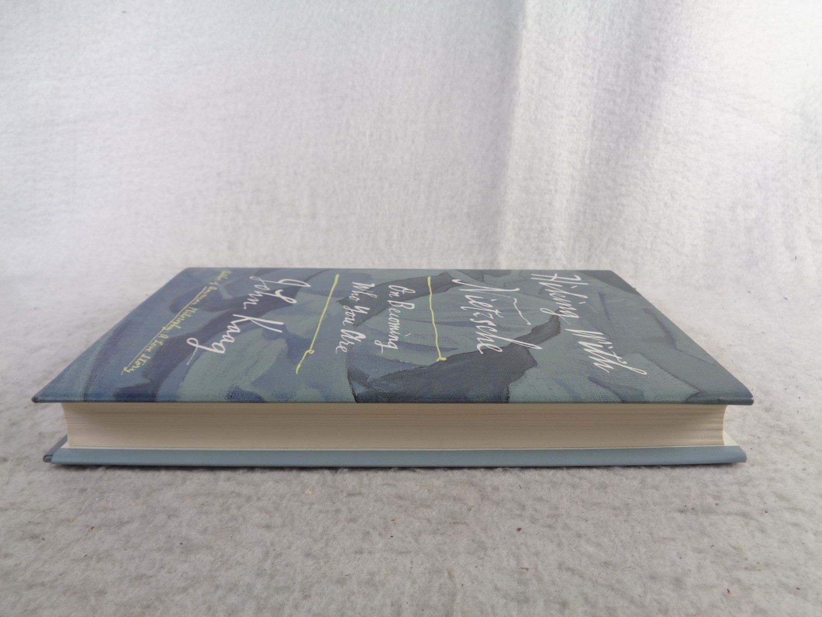 Hiking with Nietzsche On Becoming Who You Are John Kaag HC DJ 1st Ed 2018 Book
