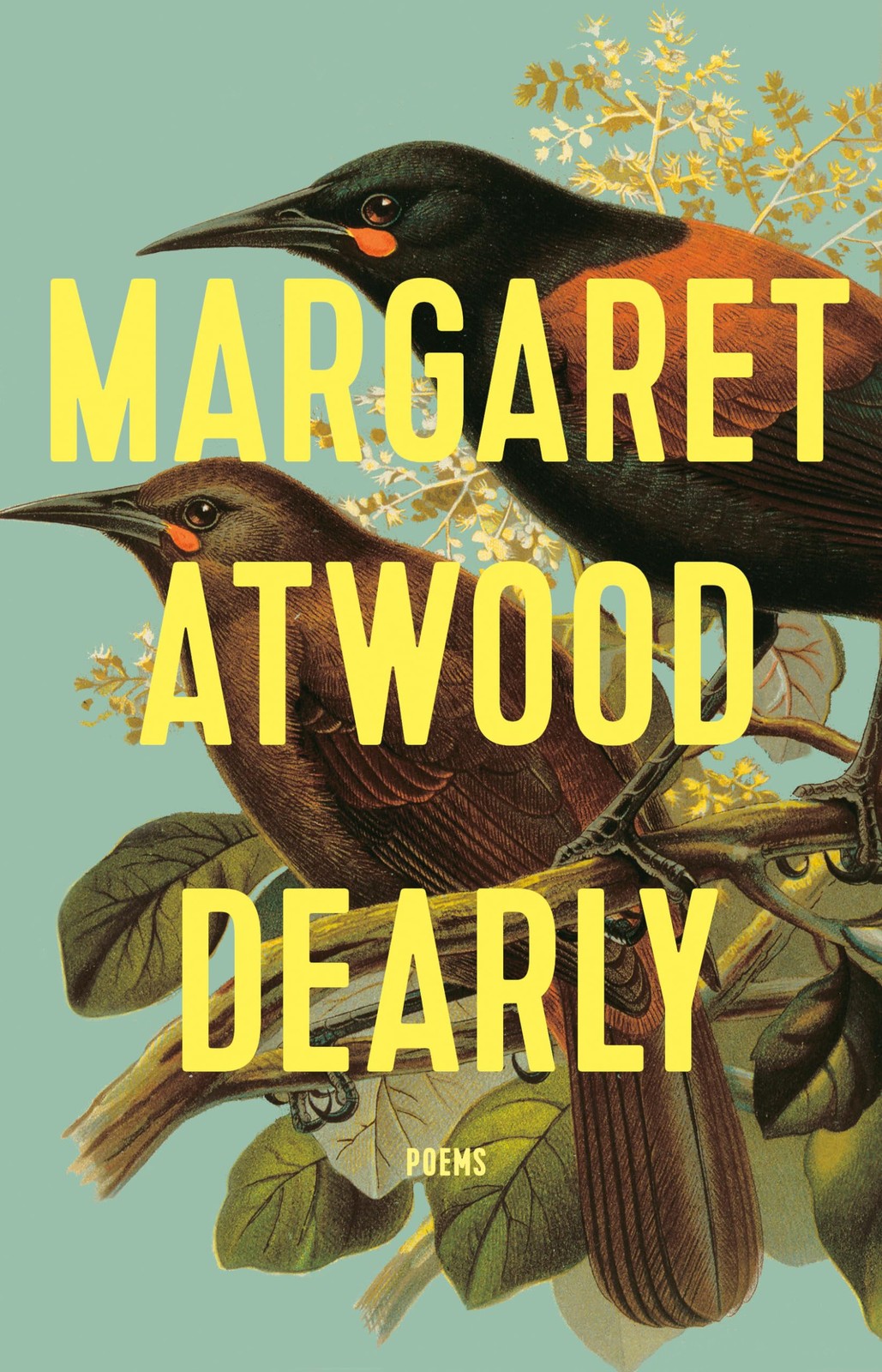 Dearly: Poems – hardcover Margaret Atwood