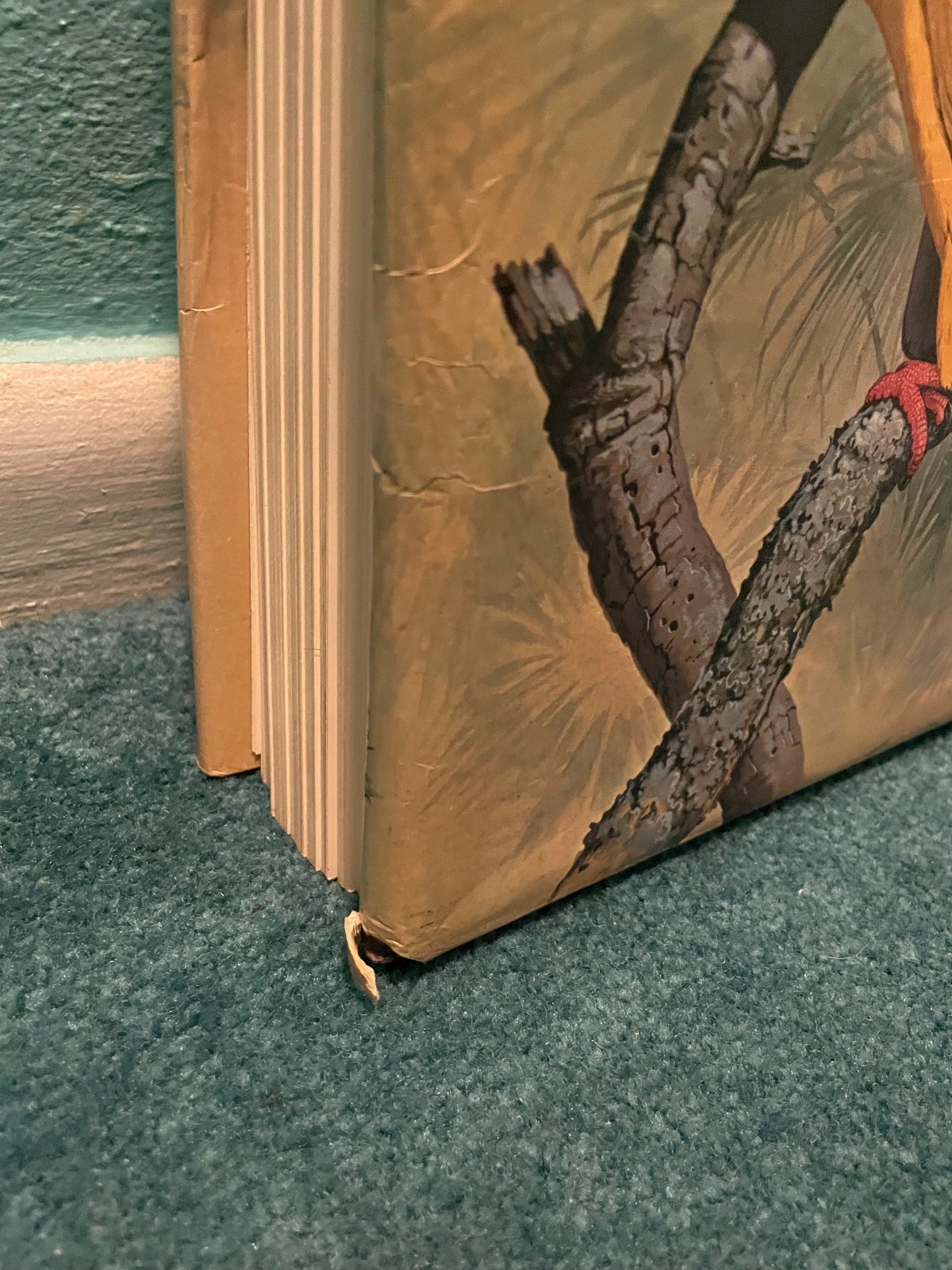PARROTS OF THE WORLD Forshaw/Cooper 1973 First Edition ISBN 0385056281