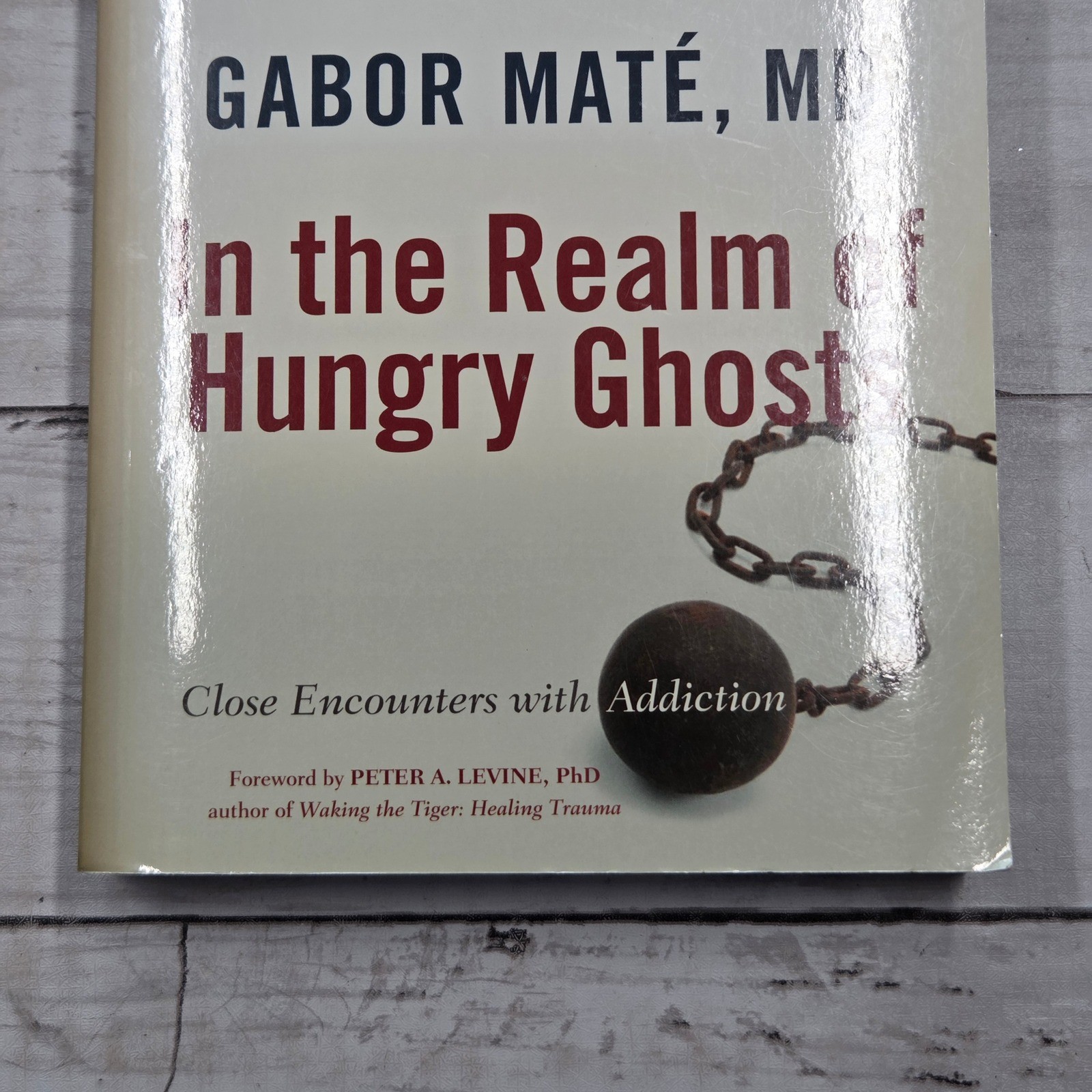 Gabor Maté In the Realm of Hungry Ghosts Book Psychology Non-Fiction Paperback