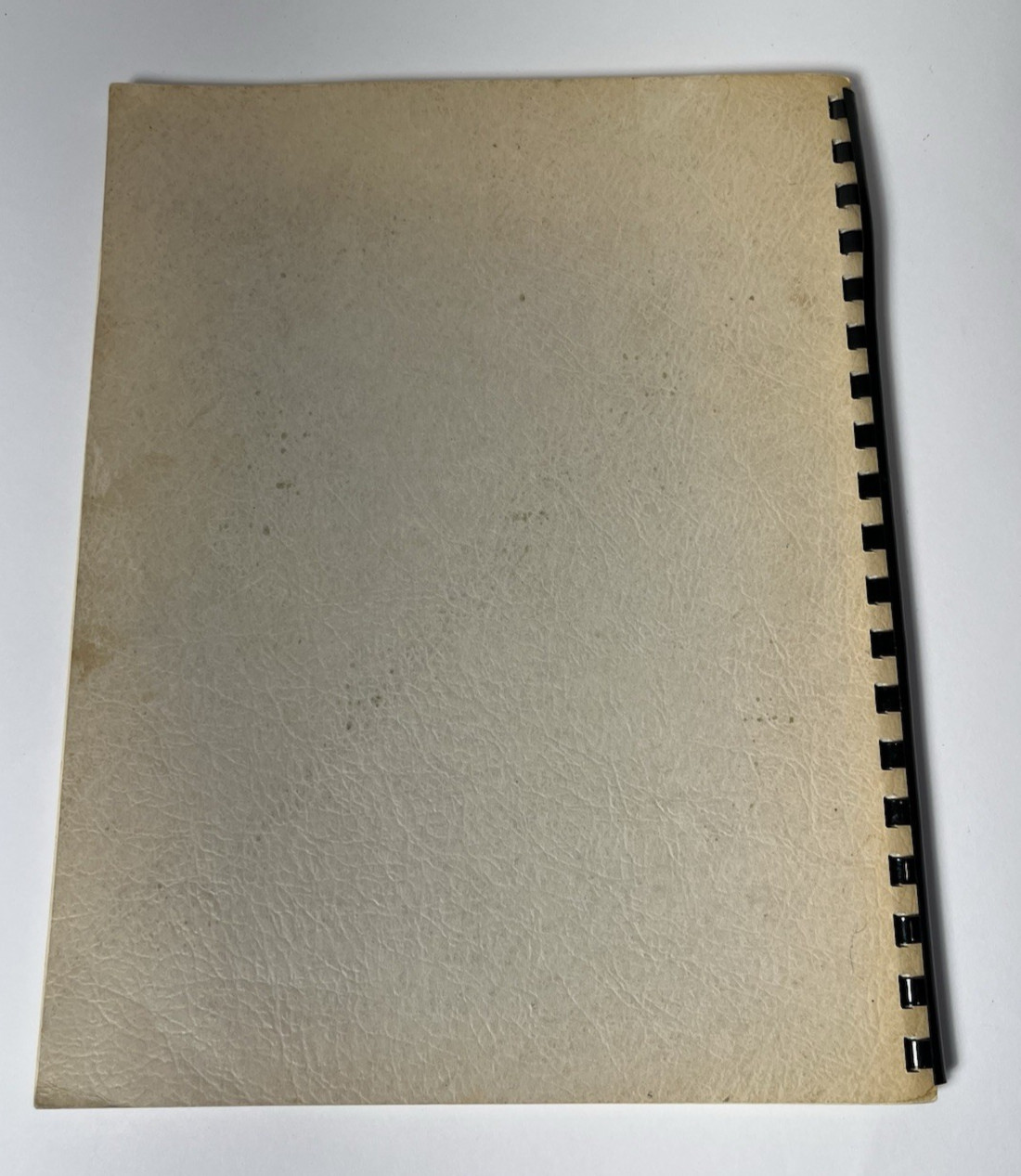 RARE Dennis Cunningham A SQUARE FISH Catalog of Prints 1981-1983 Oregon Artist