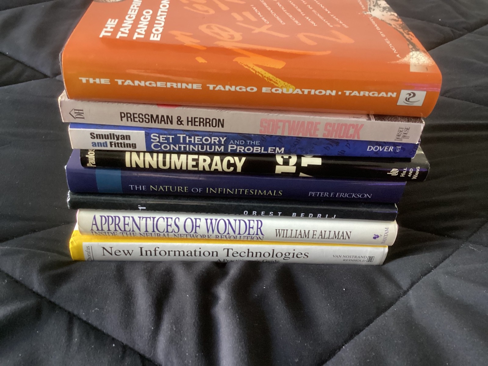 Lot of 8 Books, Software, Informational Technologies, Set Theory, Infinitesimals