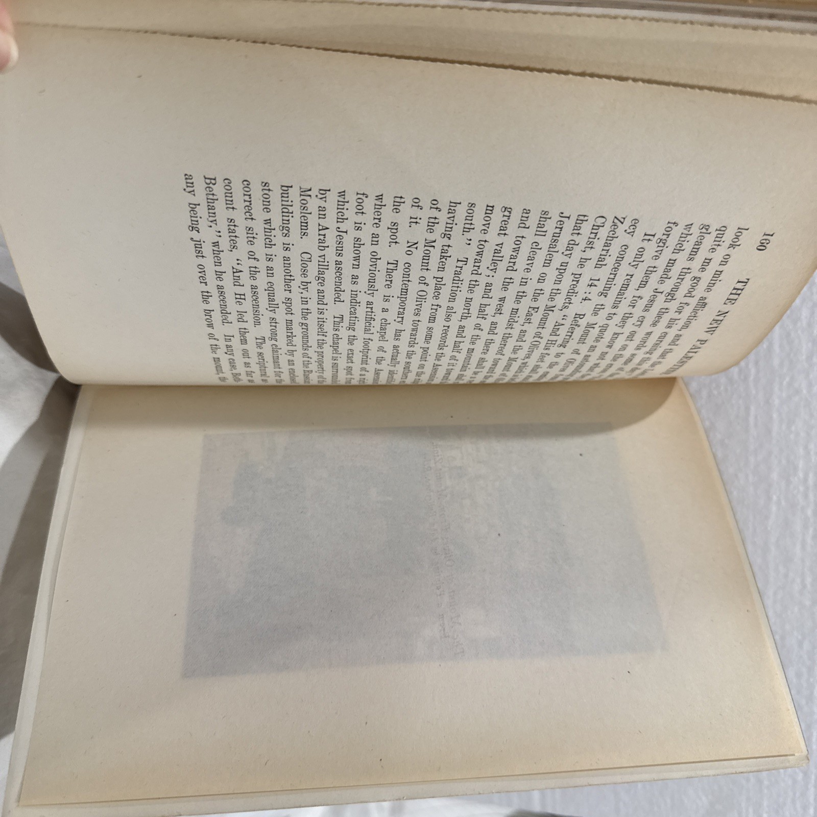 The New Palestine W.D McCrackan 1922 Antique Hardback First Edition