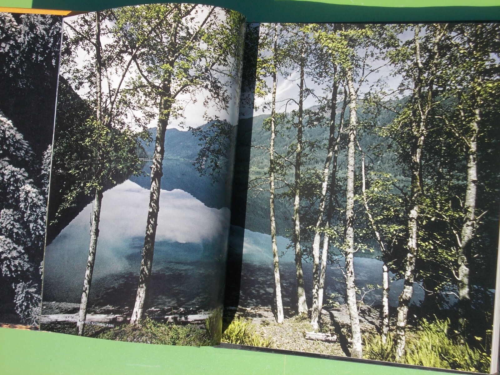 THE NORTHWEST COAST TIME-LIFE THE AMERICAN WILDERNESS (1973 HARDCOVER 184 PAGES)