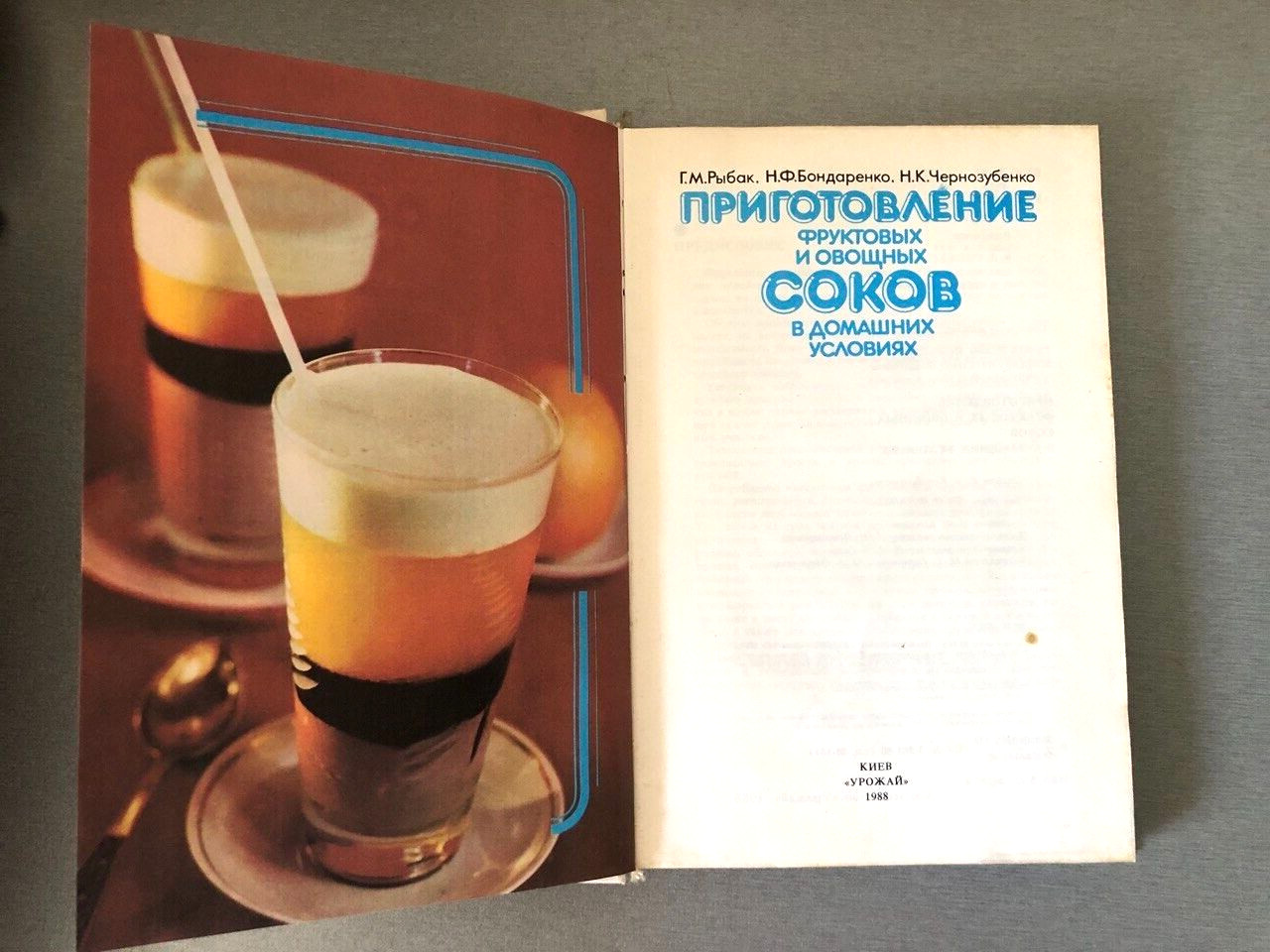 Книга на русском Приготовление фруктовых и овощных соков в домашних условиях
