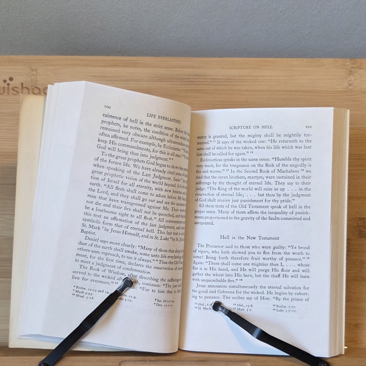 Life Everlasting and the Immensity of the Soul: A Theological Treatise