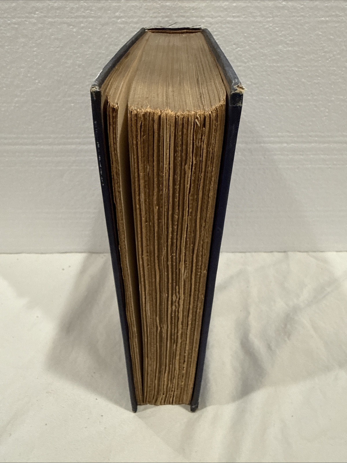The New Palestine W.D McCrackan 1922 Antique Hardback First Edition
