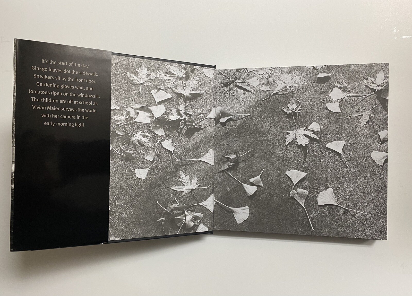 Vivian Maier: Out of the Shadows Mint Copies Out Of Print Book $60 List