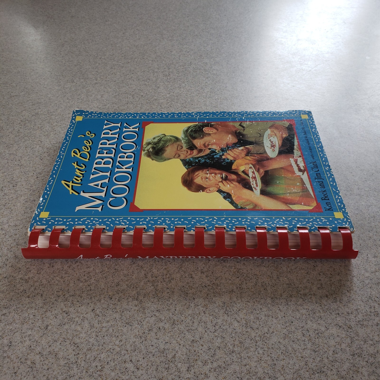 Aunt Bees Mayberry Cookbook 244 Pages Recipes Interesting Read Too