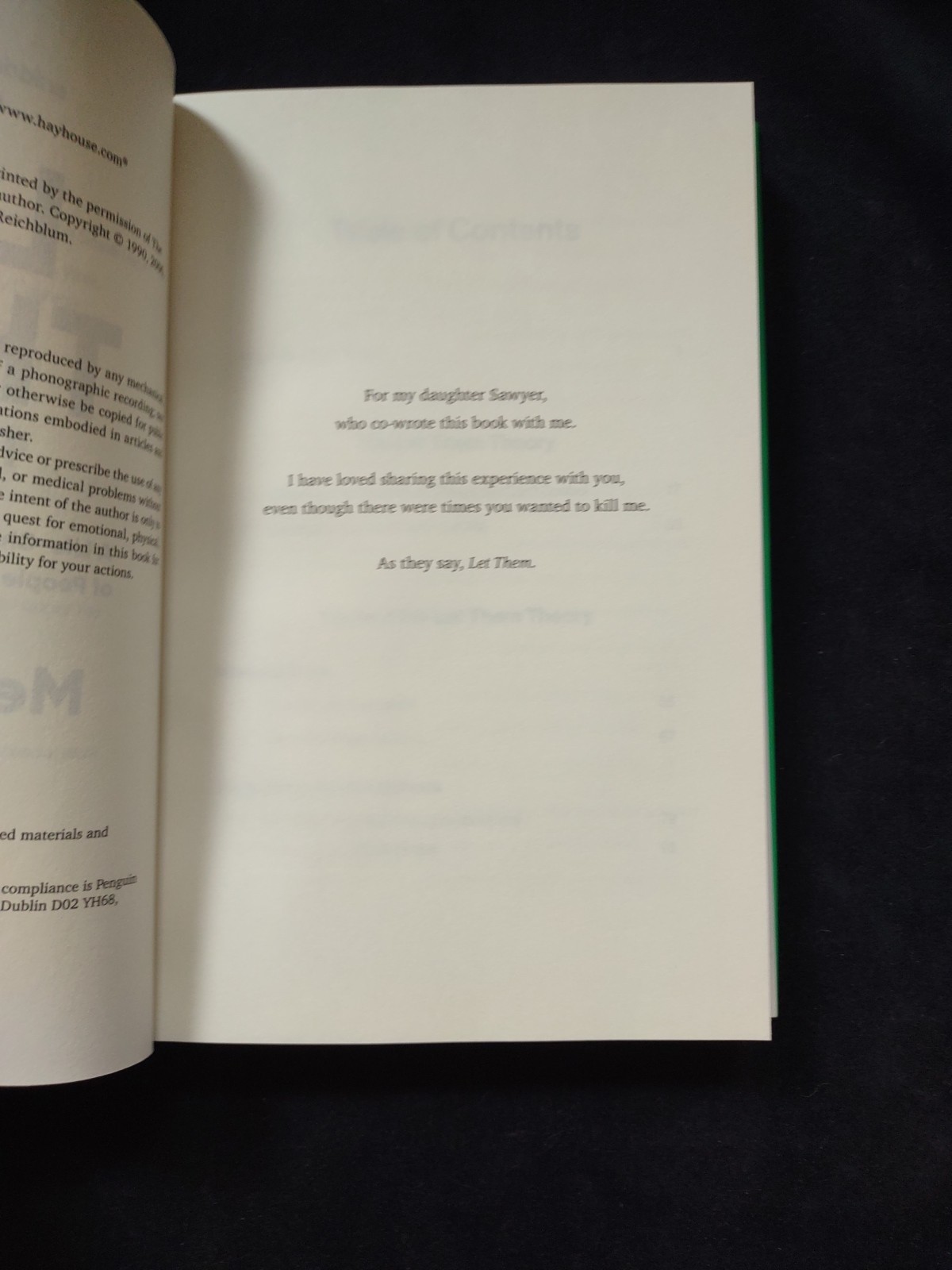 THE LET THEM THEORY Mel Robbins 1st Edition Hardcover Book Self Help Feel Great