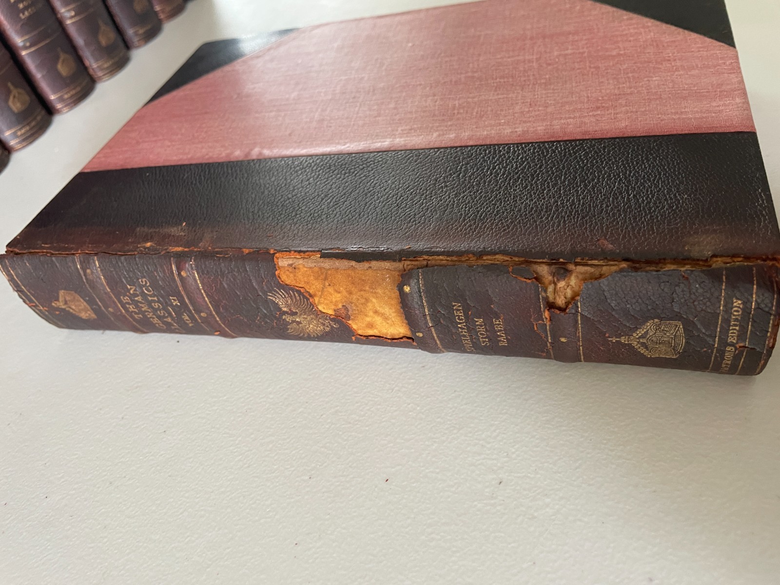 The German Classics: Masterpieces of German Literature, 20 Vol. 1914 Complete