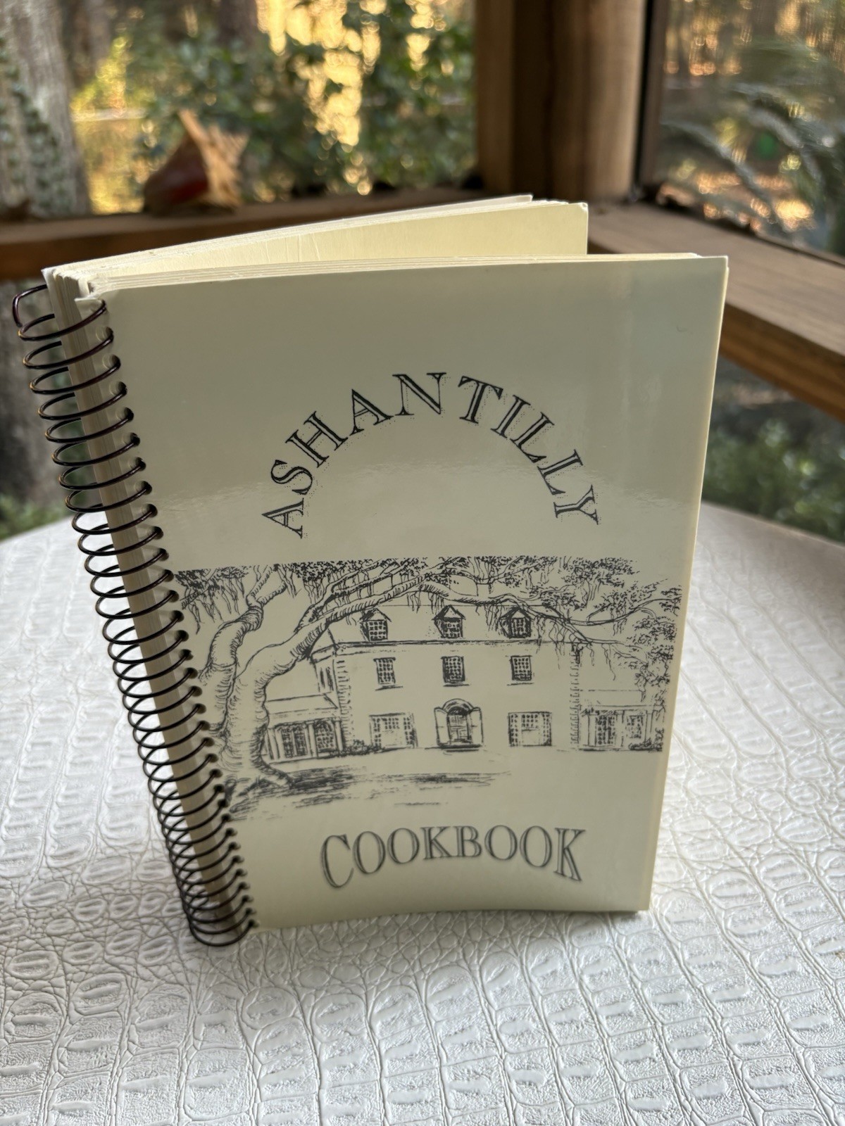 VTG Ashantilly Cookbook Darien Georgia Wire Spiral Bound Haynes Family 200 Pages