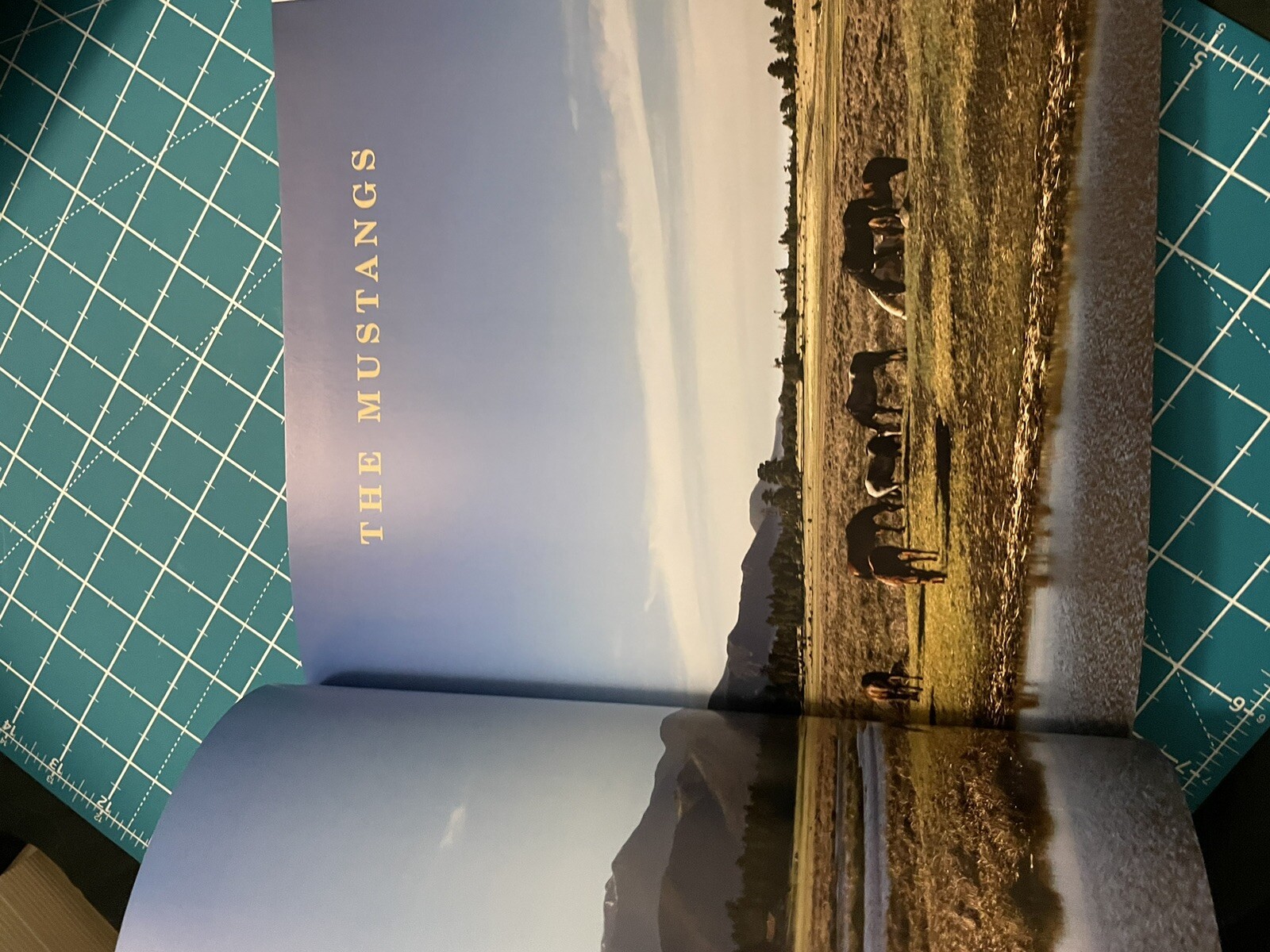 Unbranded by Ben Masters, Ben Thamer, Jonathan C. Fitzsimons, Thomas Glover and